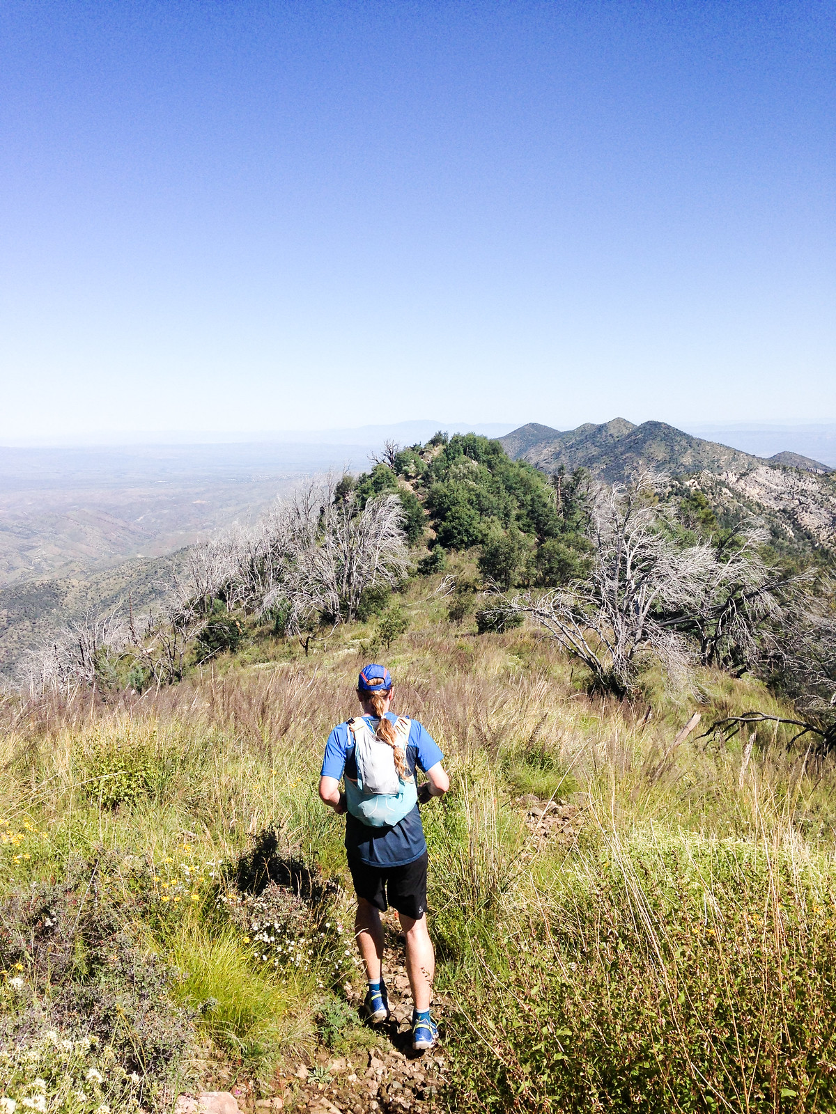 1409 Running Down the Oracle Ridge Trail