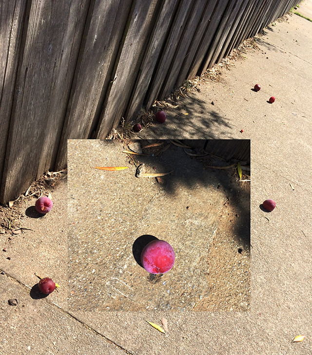 plums on the sidewalk