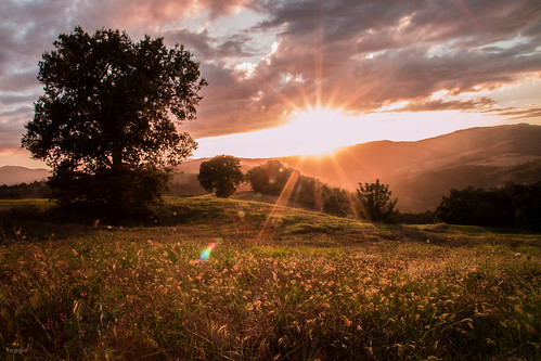 italy sun landscape italia paesaggi umbria canon70d flickrandroidapp:filter=none