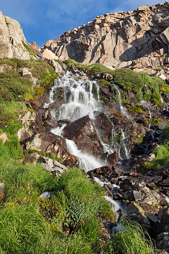 flowers mountain water waterfall nationalpark colorado rocks places cascades rockymountainnationalpark