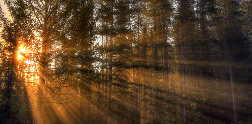county morning sun canada fog sunrise canon relax photography eos dawn early photo solitude ray quiet peace image pics glory lakes picture twin peaceful ab pic photograph alberta area dreamy recreation allrightsreserved provincial morn 6d clearview cuthill albertatourism canon6d tourismalberta westrockbob canoneos6d bobcuthillphotographygmailcom bobcuthill