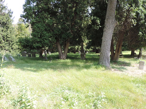 overgrown cemetery nikon pennsylvania p520