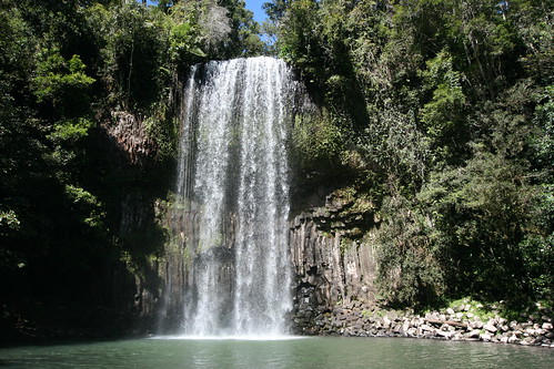 water waterfall rainforest australia waterfalls queensland waterway tropicalnorthqueensland athertontablelands farnorthqueensland millamillafalls palmerstonhighway