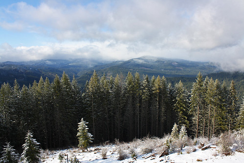 trees snow mountains lookout fir douglasfir umpquanationalforest pickettbuttelookout pickettbutte