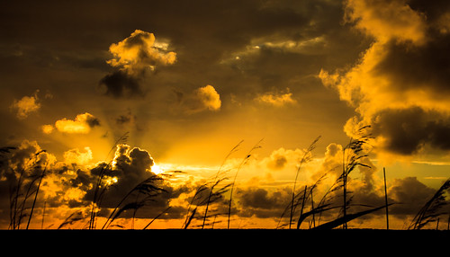 sunset sea sky clouds germany island deutschland meer sonnenuntergang north himmel wolken insel sonne nordsee nordrheinwestfalen lippstadt amrum