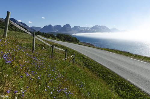 road flowers sea sun mountains norway fog drive scenery view wide scenic wideangle arctic northern troms fense svensby lyngenalps lyngsalpan fv312