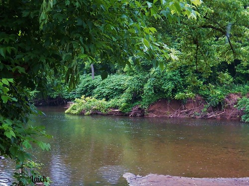 usa green nature water creek landscape outdoor pennsylvania explore buckscounty langhorne neshaminycreek pdlaich