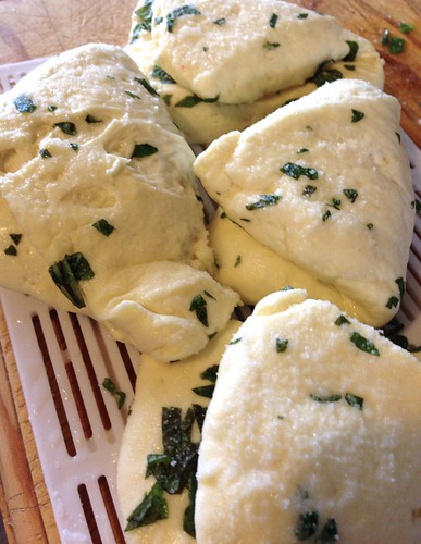 folded wedges of minted salted haloumi