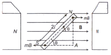 CBSE Class 11 Physics Notes Magnetism