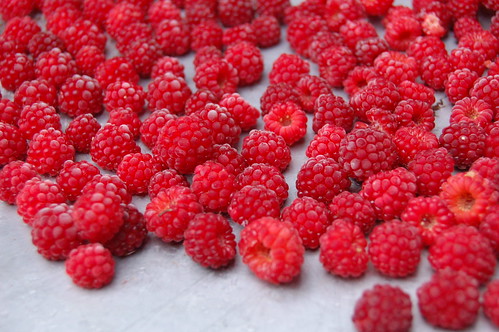 Frozen wineberries by Eve Fox, the Garden of Eating, copyright 2014