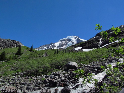 Near one of the final stream crossings on the Heliotrope Divide Trail, Mount Baker-Snoqualmie National Forest, Washington