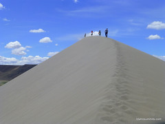 The top of the Bruneau Sand Dunes