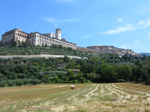 basilica from the field