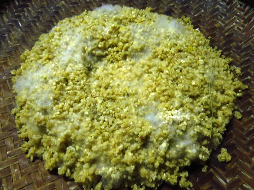 圖10：自製米麴發麴中。呈裝的竹編容器閩南話叫「kám-a」。米麴可用來做豆腐乳、醬冬瓜…等手工醬菜。
