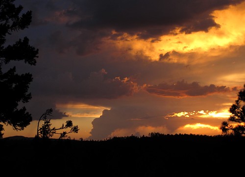 sunset summer arizona sky southwest nature beauty forest skyscape outdoors evening view sundown silhouettes adventure monsoon edge rim exploration discovery stormclouds stormyweather mogollonrim therim thunderstorms highcountry coconinonationalforest coloradoplateau coconinonf azwsunset zoniedude1 earthnaturelife canonpowershotg12 7600ftelevation cloudwars rimexpedition2014