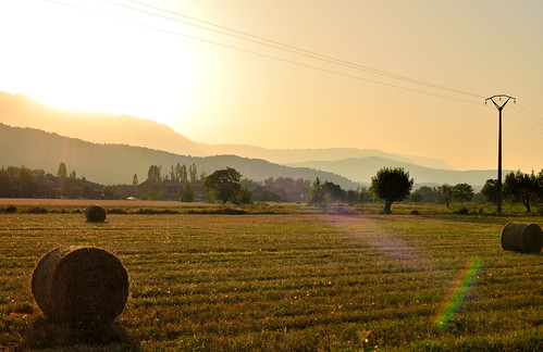 sunrise fields hay