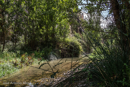 españa naturaleza nature río river spain paisaje teruel lanscape ribera aragón pública alcaine joséantonioabad