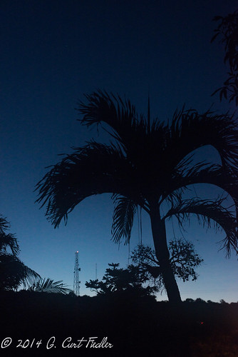 trees sunset sky usa plant tree silhouette palmtrees guam guahan mangilao tracheophyte sunrisevilla territoryofguam latteheights weatherelements vascularlandplant 2014365dayproject