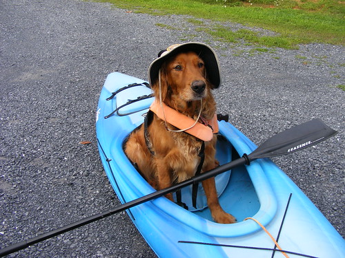 Jake is ready for a jaunt down the river!