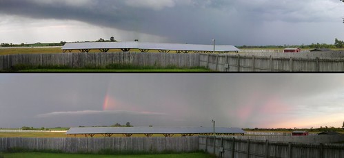 Backyard Rain / Rainbow