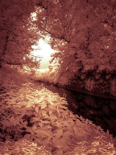 trees summer sky nature water wisconsin creek river landscape ir wolf unitedstates earth infrared converted pecatonica 2014 falsecolor m43 infraredcamera lafayettecounty southwayne micro43 microfourthirds 665nm 665nminfrared