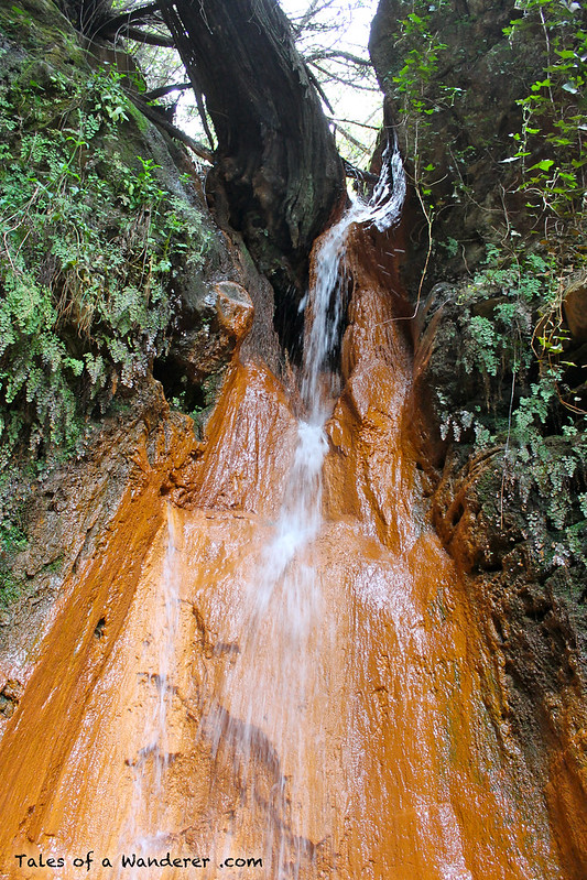 PÓRTUGOS - Fuente Agria / Cascada del Chorrerón