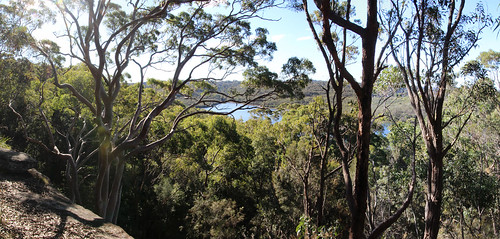 trees panorama landscape manlydam