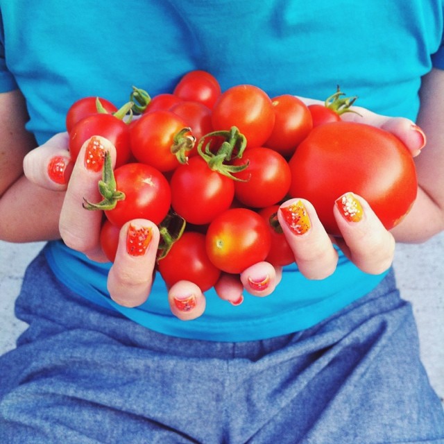 Cherry tomato picking! #tomato #tomatoes #cherrytomatoes #red #nails #vegetablegarden #rooftop #NYC #Brooklyn #vegetables #healthyeating #garden #gardening #urbanfarming #urbangarden #containergarden #harvest #gardenchat #farmgirl #getgrowing #greenthu