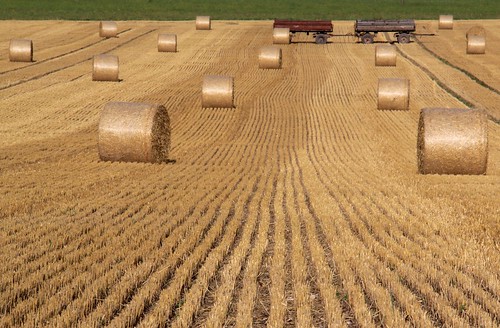 two field germany corn village grain thuringia round trailer strawbale cylindrical getreide reurieth werravalley