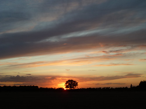 sunset england sky silhouette clouds atardecer evening countryside sonnenuntergang pôrdosol eastanglia coucherdusoleil