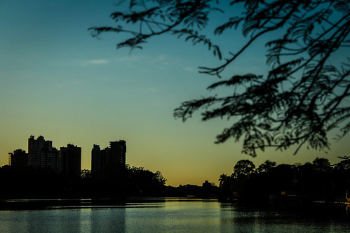 amanhecer dawn horizonte horizon lago lake urbano urban paisagem landscape água water árvores trees sky silhueta silhouette calma calm