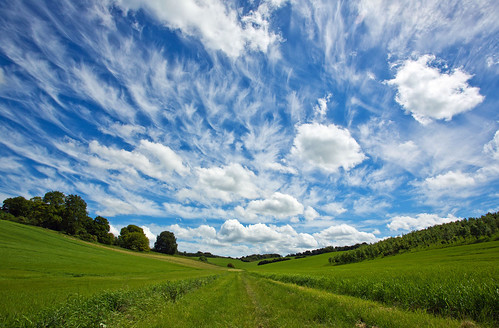 blue trees white green clouds chilterns fields crops oxfordshire ridgeway ewelme
