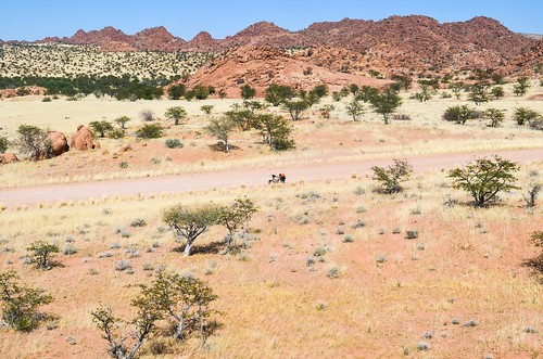A bicycle in Damaraland