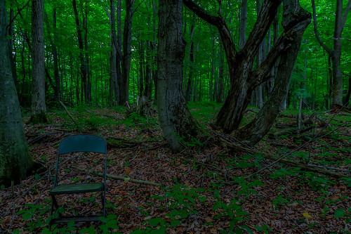 chair woods hdr woodsofbliss