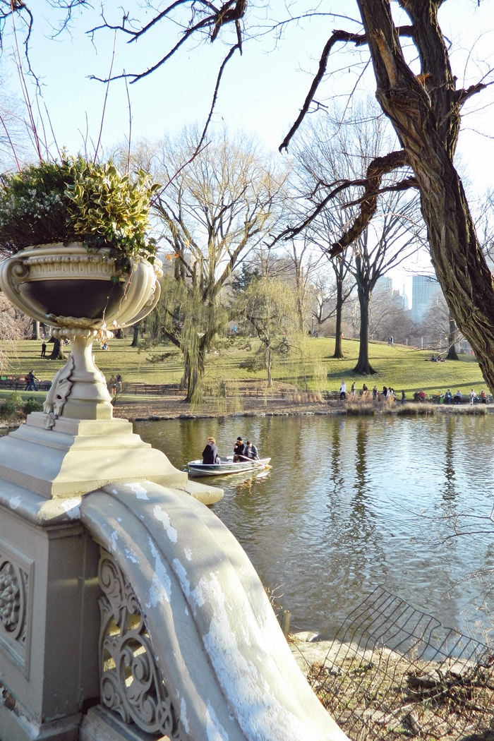 Central Park (6)