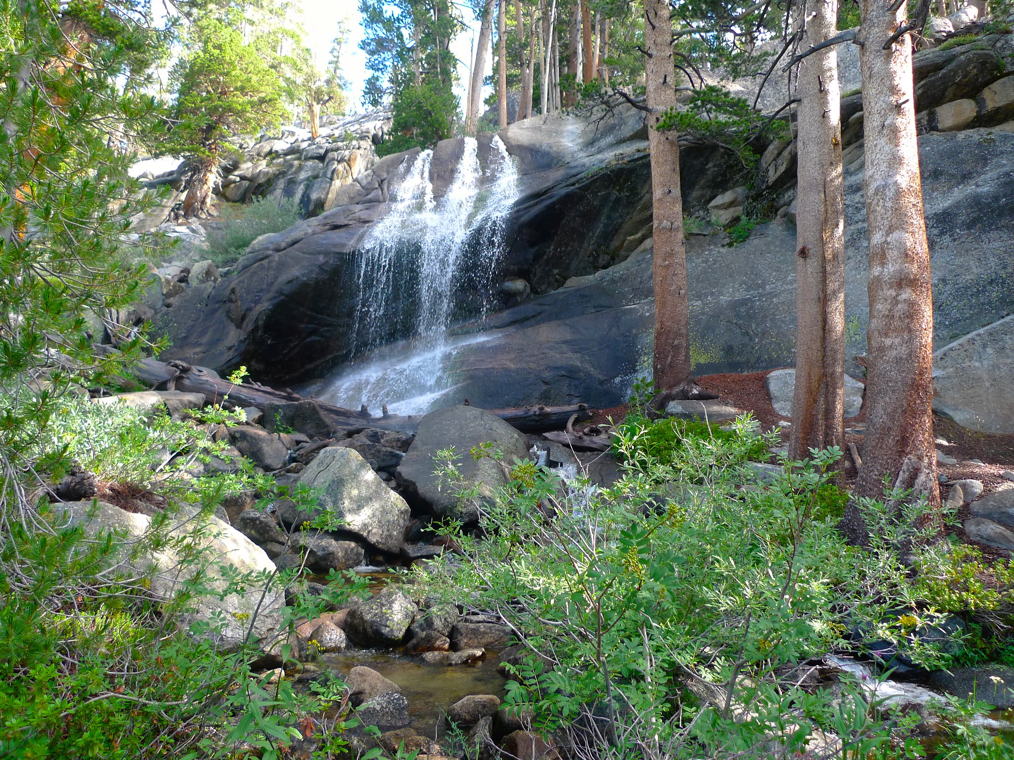 Gorgeous waterfall on the shoulder of the canyon of the Lyell Fork. Great campsite.