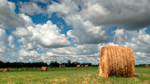 morning grass clouds day cloudy bluesky daytime hay rolled windmillfarm sunnny hdr3exp getolympus olympusomdem1
