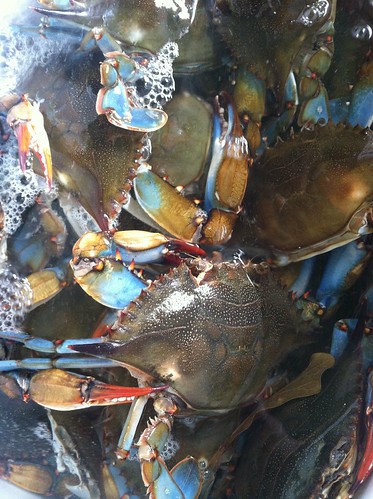 blue dinner nc crab outerbanks bluecrab obx coastalliving