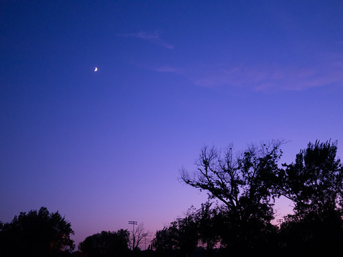 sunset shadow moon tree silhouette night yahoo dusk crescent kansas crescentmoon