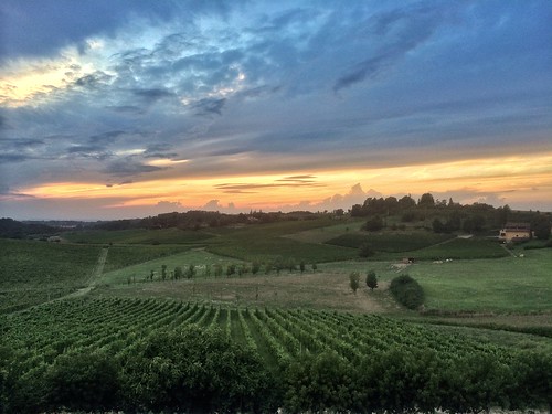 sunset italy vineyard