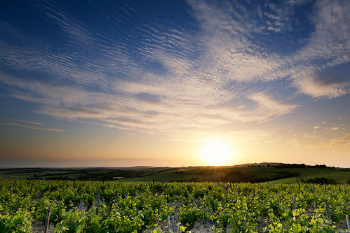 sunset sky cloud soleil coucher vine ciel filter cher lee nuage sancerre vigne crepuscule filtre montigny