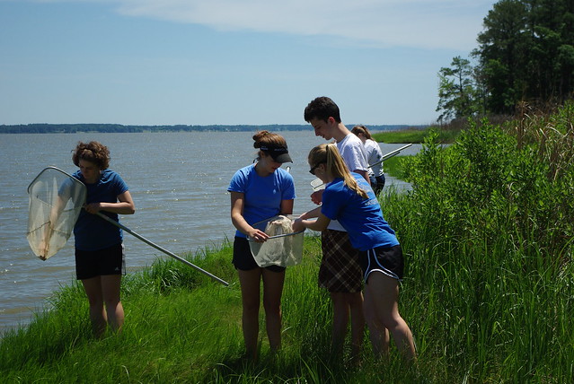 Special programs for Estuaries Day at York River State Park, Virginia