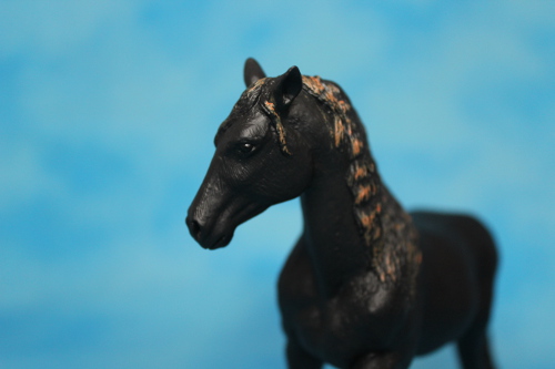 mojo - Walkaround of the 2012 Mojö Andalusian Stallions and comparison with Schleich Andalusian 14552556276_8a6db96cc4
