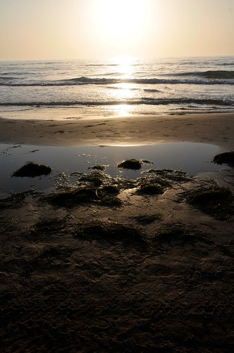 ocean morning summer sky beach sunrise texas southpadreisland