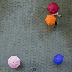 Umbrellas in Barcelona