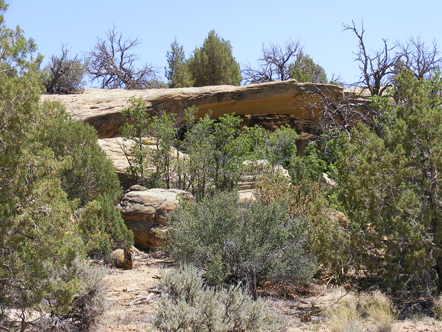 New Mexico Natural Arch NM-420 Escarbada Canyon Arch