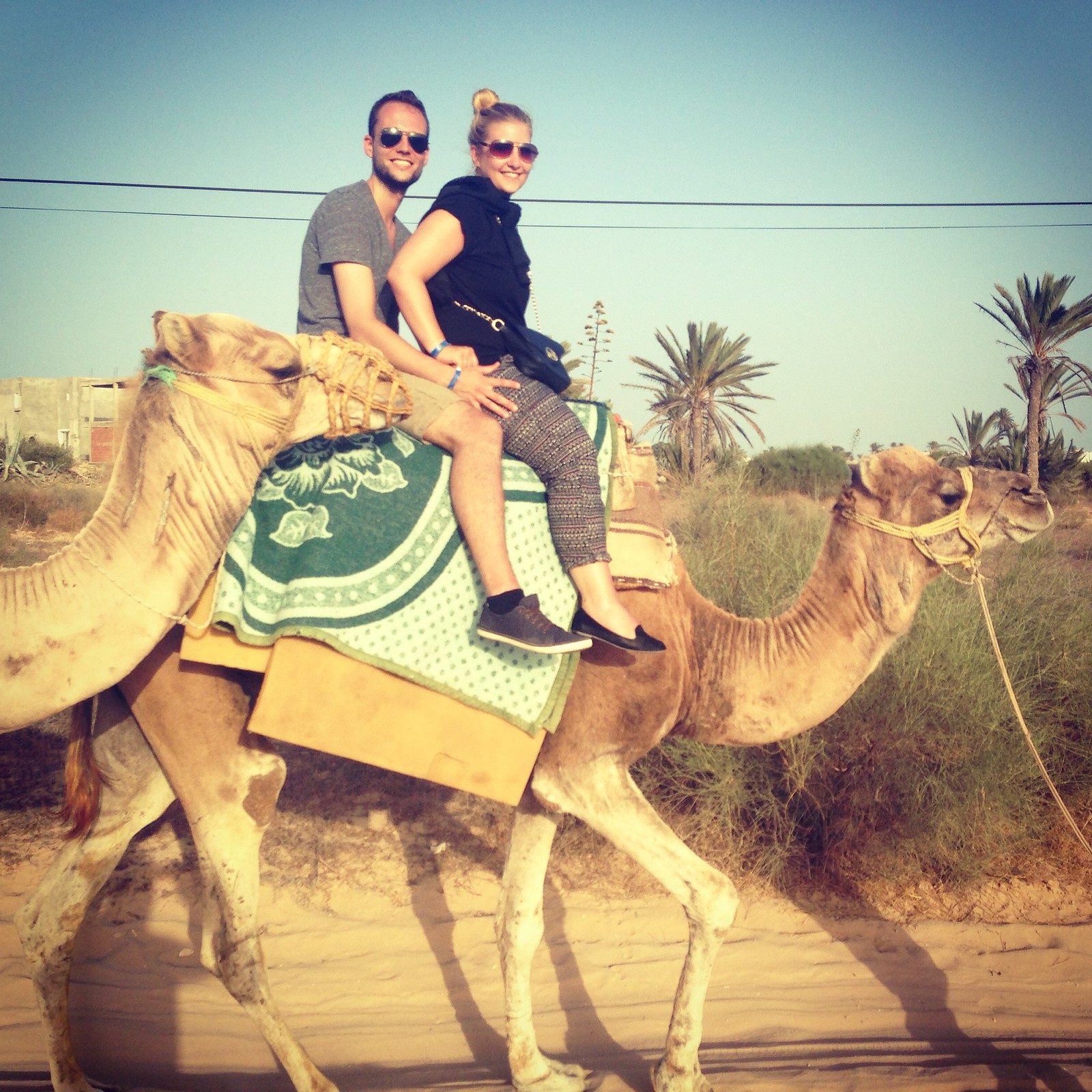 kamele-urlaub-paar-erfahrung-tunesien-djerba-couple