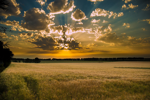 sunset sky cloud sun france nature canon landscape eos soleil natur nuage coucherdesoleil blé seineetmarne