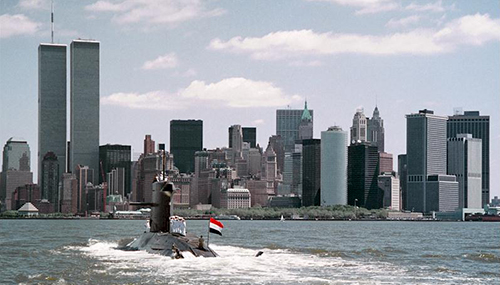 zeeleeuw-new-york-2000
