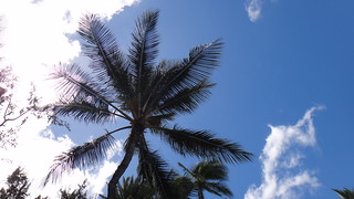 Hawaii Trip 2013